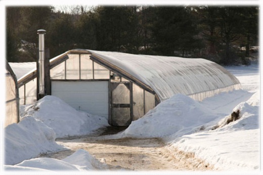 Устройство отопления в зимней теплице: что использовать для обогрева