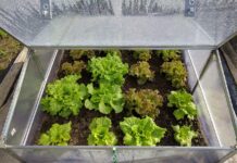 Выбор толщины и типа сот поликарбоната для теплицы