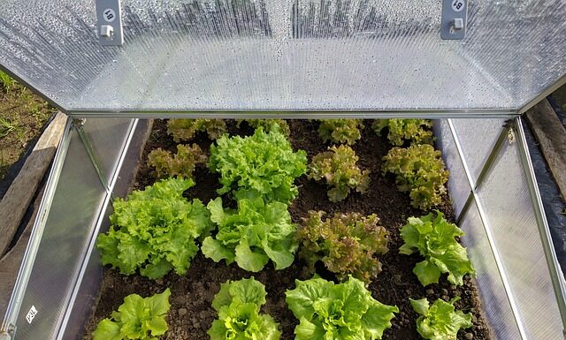 Выбор толщины и типа сот поликарбоната для теплицы