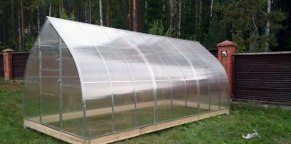 Как получать свежий урожай дольше?