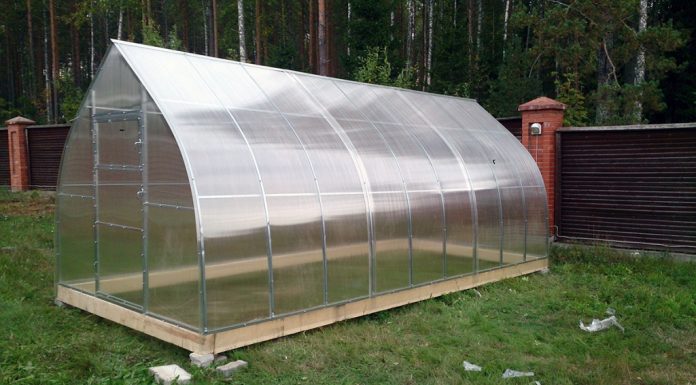 Как получать свежий урожай дольше?