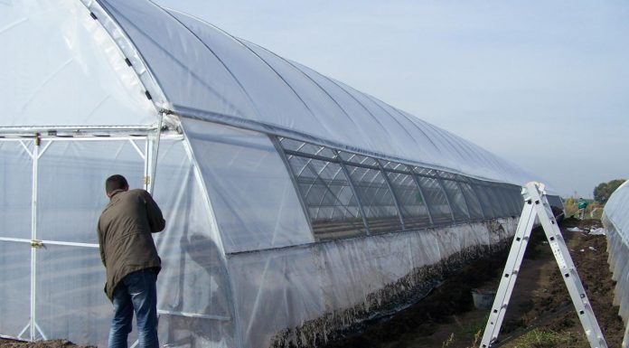 Виды укрывных материалов