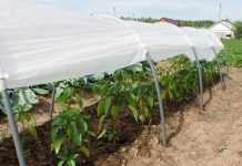 Незаменимый материал в огороде и саду