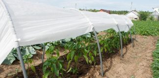 Незаменимый материал в огороде и саду