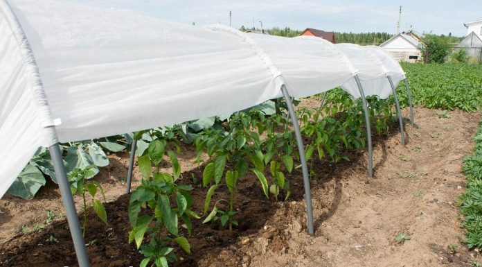 Незаменимый материал в огороде и саду