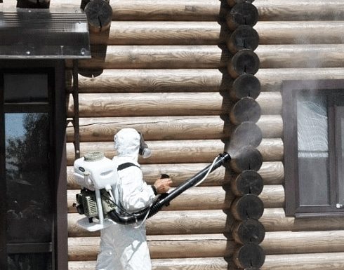 Как защитить дом от короеда?