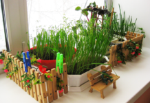 Выращиваем садик на подоконнике: где найти советы по уходу за ним, как сохранить урожай в квартире как можно дольше