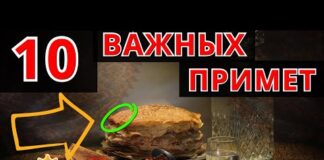 10 Главных Правил когда и как сажать огурцы на рассаду в 2022 году для максимального урожая