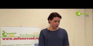 Календарь посадки томатов 2022 по Лунному календарю: когда сажать помидоры на рассаду и в грунт – Антонов сад