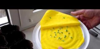 Как вырастить рассаду огурцов: подготовка семян, почвы и высадка в грунт