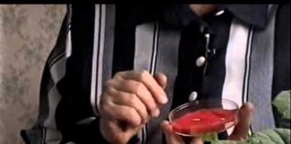 Как сажать огурцы на рассаду: подготовка семян, техника посева и выращивания