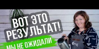 Когда посеять огурцы на рассаду в апреле 2022 – дни посева по Лунному календарю – Антонов сад