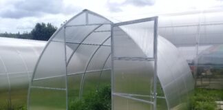 Почему теплицы из поликарбоната стали популярнее стеклянных