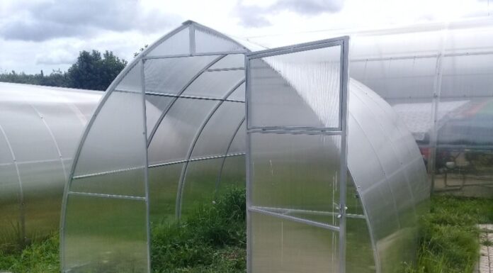 Почему теплицы из поликарбоната стали популярнее стеклянных