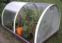 Планирование небольших теплиц: советы для успеха