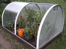 Планирование небольших теплиц: советы для успеха