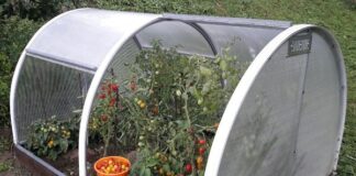 Планирование небольших теплиц: советы для успеха