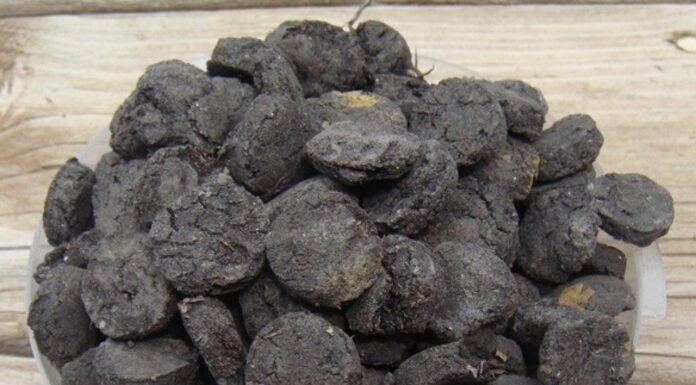 Сапропель: природное удобрение, которое получают с глубины озера: как получается органическое удобрение, содержит: азот, калий подвижный, фосфор подвижный