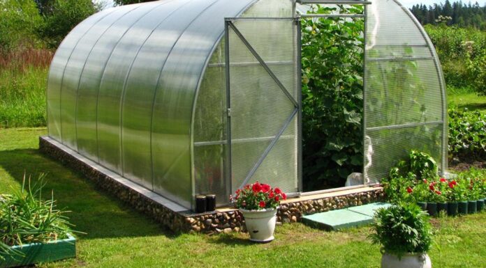 Как выбрать теплицу самостоятельно?