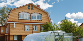 Совместимость овощей в теплице