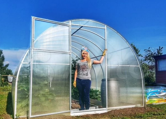 Особенности покупки теплицы