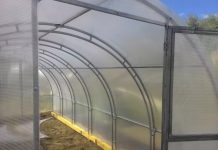 Теплица для выращивания растений