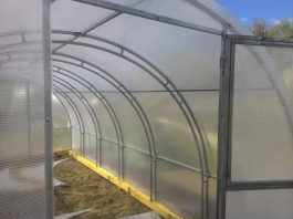 Теплица для выращивания растений