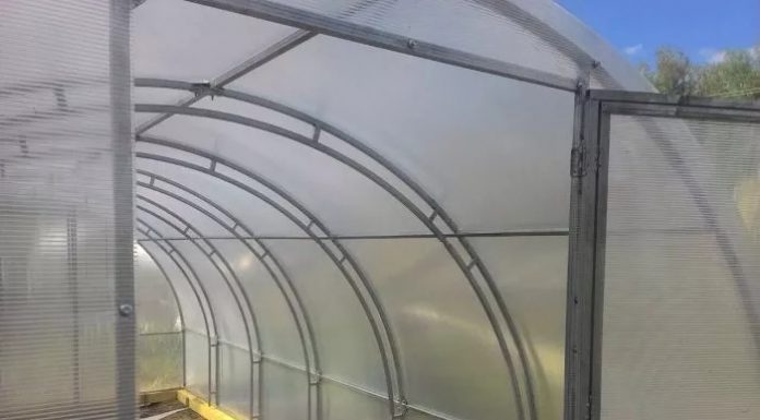 Теплица для выращивания растений