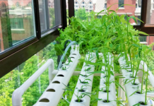 Удобрения для гидропоники: в каком формате они бывают