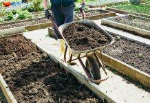 Выбираем грунт для теплиц и огорода