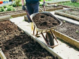 Выбираем грунт для теплиц и огорода