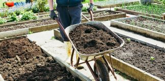 Выбираем грунт для теплиц и огорода