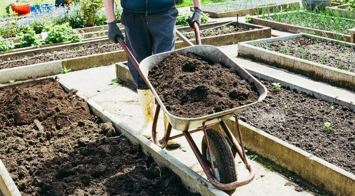 Выбираем грунт для теплиц и огорода