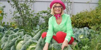 Где узнать все о выращивании капусты и ее заготовке: правила