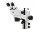 Стереомикроскоп STEMI 305 от ZEISS: прочный инструмент для обучения