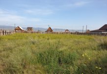 Для каких целей покупают: как выбирают земельные участки в Улан-Удэ