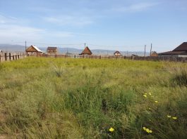 Для каких целей покупают: как выбирают земельные участки в Улан-Удэ