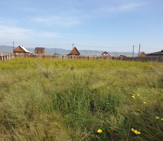 Для каких целей покупают: как выбирают земельные участки в Улан-Удэ