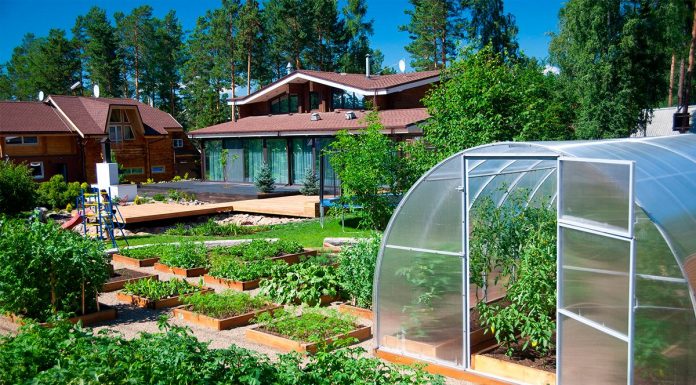 Какую теплицу рекомендуют покупать специалисты: советы