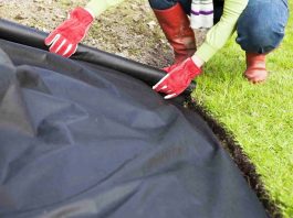 Чем укрыть теплицу: полиэтиленовая пленка vs спанбонд