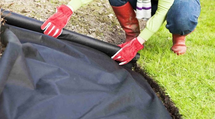 Чем укрыть теплицу: полиэтиленовая пленка vs спанбонд