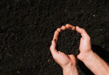 Органические удобрения и грунтовые смеси: плюсы