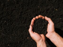 Органические удобрения и грунтовые смеси: плюсы