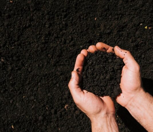 Органические удобрения и грунтовые смеси: плюсы