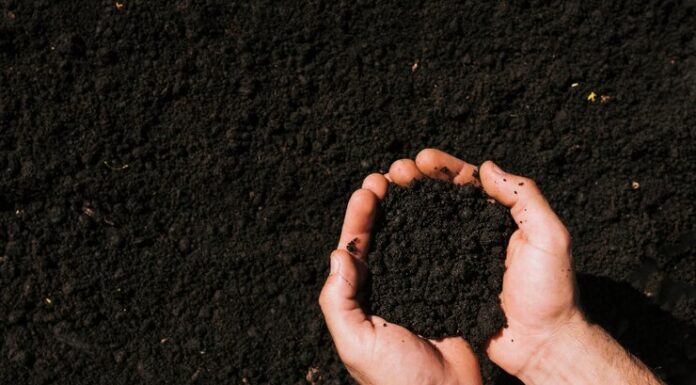 Органические удобрения и грунтовые смеси: плюсы