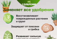 Минеральные удобрения: что это такое, для чего нужны