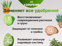 Минеральные удобрения: что это такое, для чего нужны