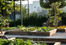 Грядки из древесно-полимерного композита: что это такое, для чего нужны