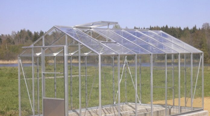 Теплицы из стекла: эстетика и функциональность в одном решении