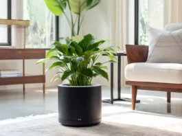 Горшок с автополивом: удобство и уход за растениями без хлопот